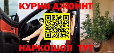дурь Шелехов